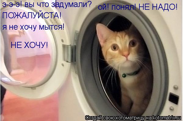 Котоматрица: э-э-э! вы что задумали? ой! понял! НЕ НАДО! ПОЖАЛУЙСТА! я не хочу мытся! НЕ ХОЧУ!