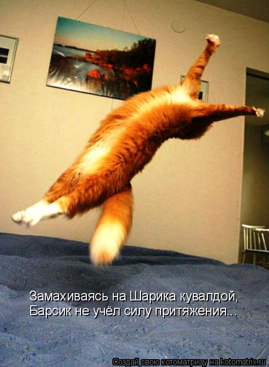 Котоматрица: Замахиваясь на Шарика кувалдой, Барсик не учёл силу притяжения...