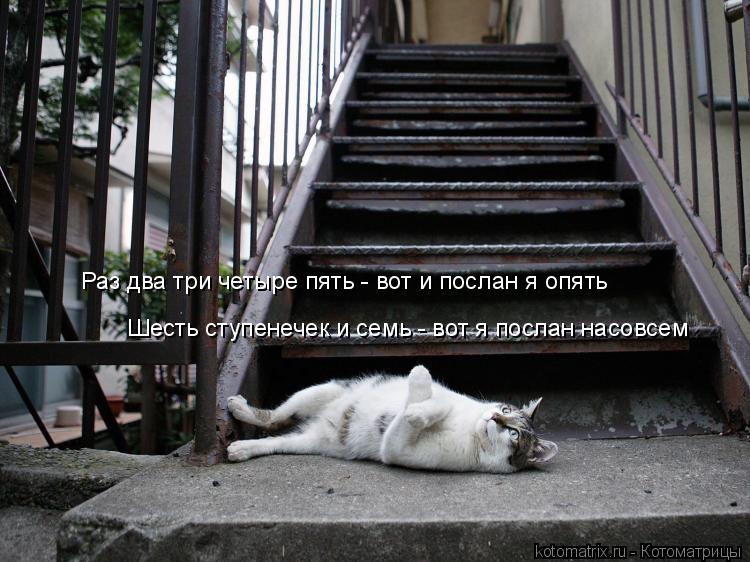 Котоматрица: Раз два три четыре пять - вот и послан я опять Шесть ступенечек и семь - вот я послан насовсем