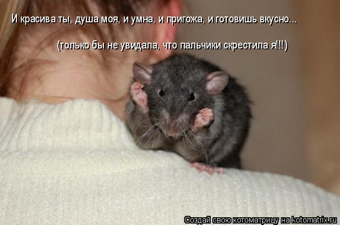 Котоматрица: И красива ты, душа моя, и умна, и пригожа, и готовишь вкусно...   (только бы не увидала, что пальчики скрестила я!!!)