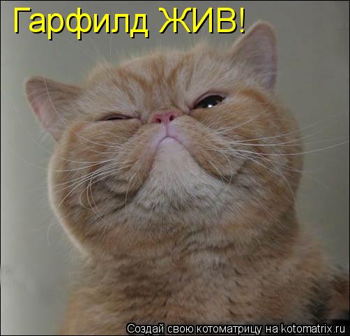 Котоматрица: Гарфилд ЖИВ!