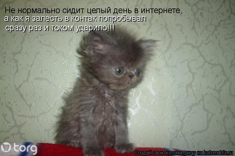 Котоматрица: Не нормально сидит целый день в интернете Не нормально сидит целый день в интернете , а как я залесть в контак попробывал  сразу раз и током 