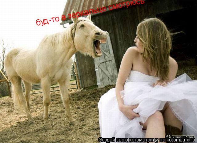 Котоматрица: буд-то в зеркальце смотрюсь