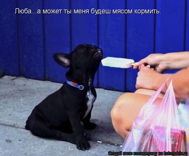 Котоматрица: Люба...а может ты меня будеш мясом кормить.