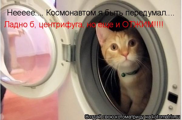 Котоматрица: Неееее.... Космонавтом я быть передумал.... Ладно б, центрифуга, но еще и ОТЖИМ!!!!