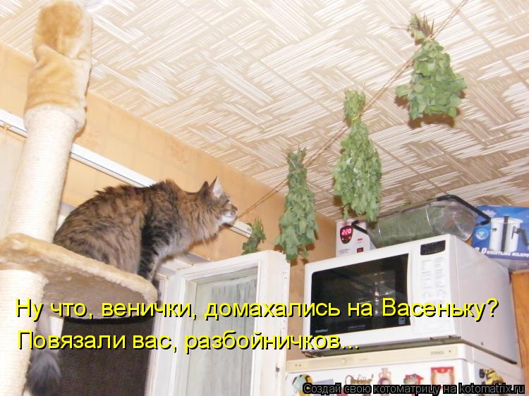 Ну что, венички, домахались на Васеньку? Повязали вас, разбойничков...... Котоматрица: Ну что, венички, домахались на Васеньку? Повязали вас, разбойничков...