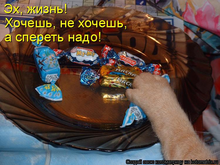 Котоматрица: Эх, жизнь! Хочешь, не хочешь, а спереть надо!