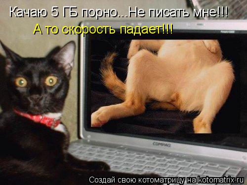 Качаю 5 ГБ порно...Не писать мне!!! А то скорость падает!!!... Котоматрица: Качаю 5 ГБ порно...Не писать мне!!! А то скорость падает!!!