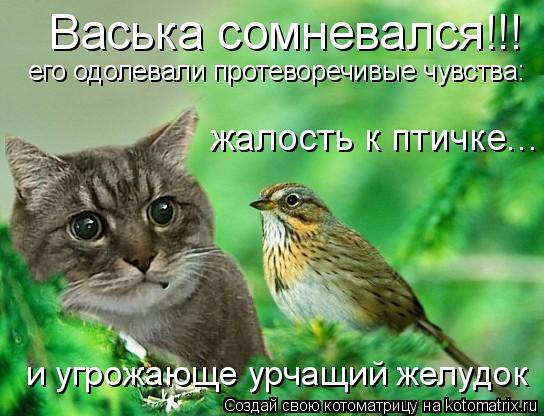 Котоматрица: Васька сомневался!!! его одолевали протеворечивые чувства: жалость к птичке...  и угрожающе урчащий желудок