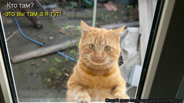 -Кто там? -это вы там,а я тут!... Котоматрица: -Кто там? -это вы там,а я тут!