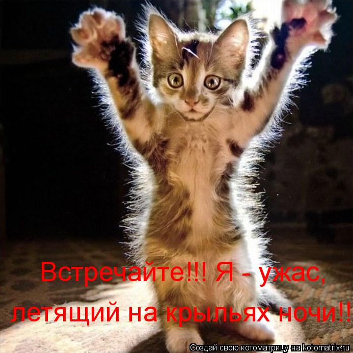 Котоматрица: Встречайте!!! Я - ужас,  летящий на крыльях ночи!!!
