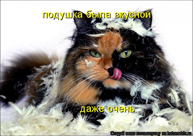 Котоматрица: подушка была вкусной даже очень