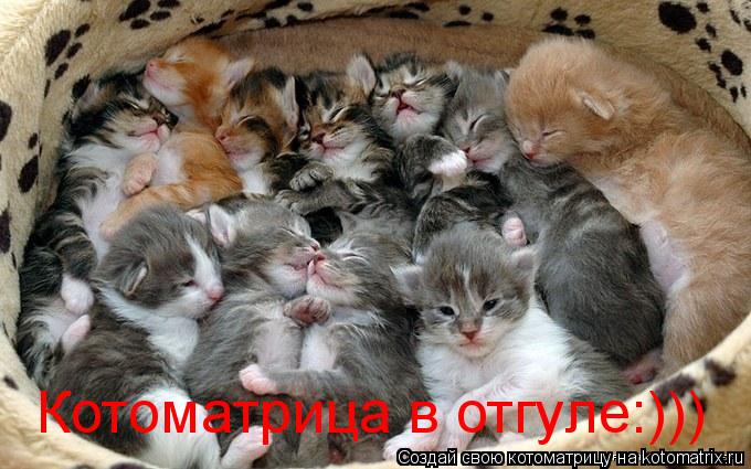 Котоматрица: Котоматрица в отгуле:)))