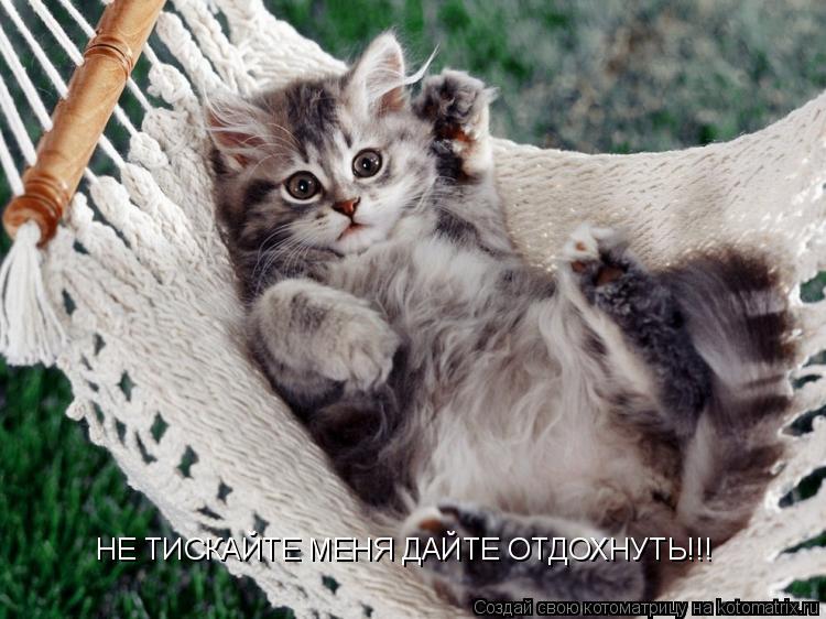 Котоматрица: НЕ ТИСКАЙТЕ МЕНЯ ДАЙТЕ ОТДОХНУТЬ!!!
