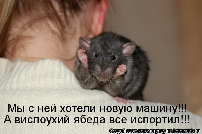 Котоматрица: Мы с ней хотели новую машину!!! А вислоухий ябеда все испортил!!!