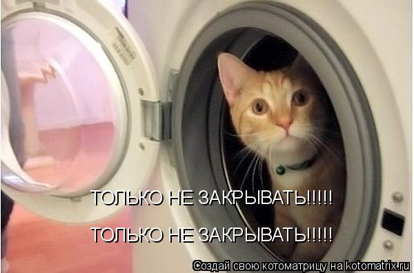 Котоматрица: ТОЛЬКО НЕ ЗАКРЫВАТЬ!!!!!  ТОЛЬКО НЕ ЗАКРЫВАТЬ!!!!!