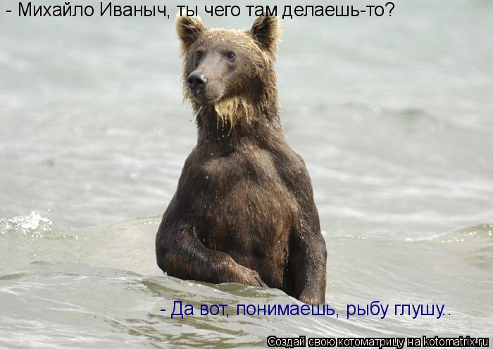 Котоматрица: - Михайло Иваныч, ты чего там делаешь-то? - Да вот, понимаешь, рыбу глушу..