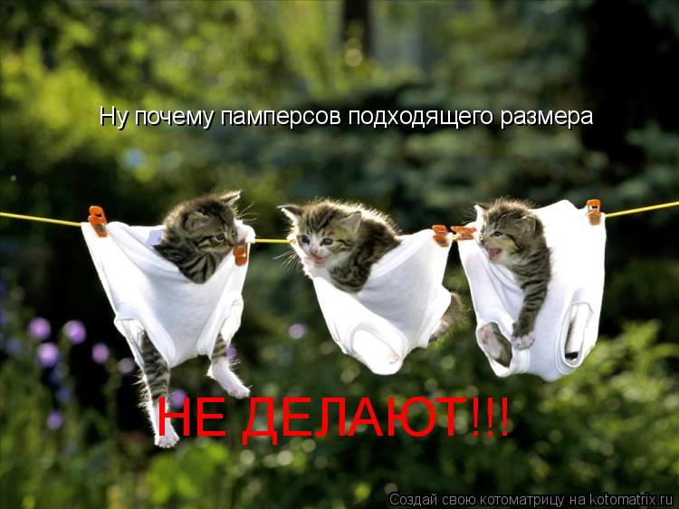 Котоматрица: Ну почему памперсов подходящего размера НЕ ДЕЛАЮТ!!!