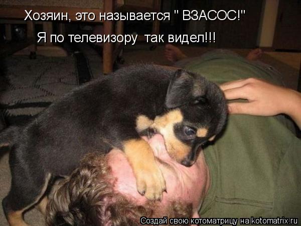 Хозяин, это называется " ВЗАСОС!" Я по телевизору так видел!!!... Котоматрица: Хозяин, это называется " ВЗАСОС!" Я по телевизору так видел!!!