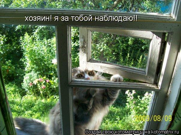 Котоматрица: хозяин! я за тобой наблюдаю!!