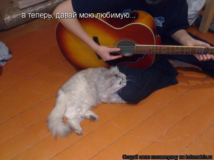 Котоматрица: а теперь, давай мою любимую...
