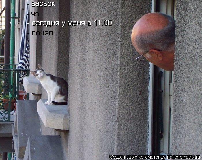 Котоматрица: - васьок - чэ - сегодня у меня в 11.00 - понял