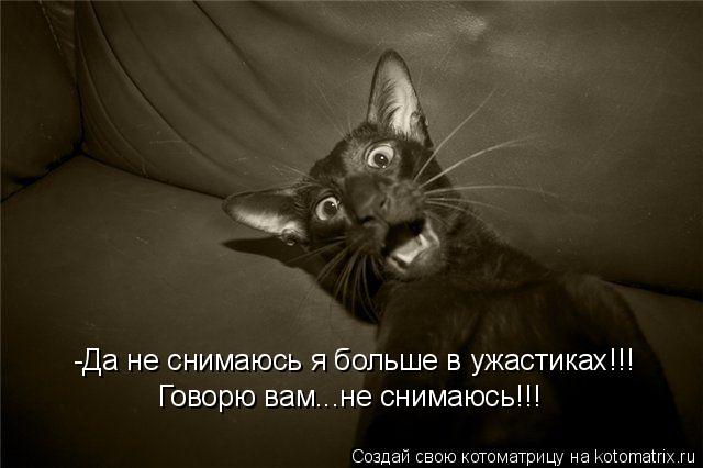 Котоматрица: -Да не снимаюсь я больше в ужастиках!!! Говорю вам...не снимаюсь!!!