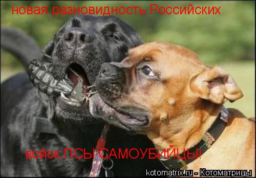 Котоматрица: новая разновидность Российских  войск:ПСЫ САМОУБИЙЦЫ!