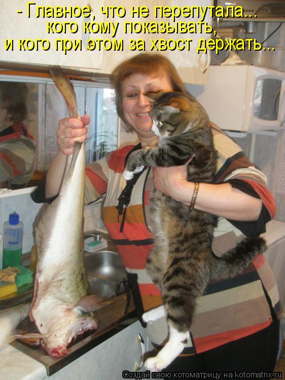 Котоматрица: - Главное, что не перепутала... кого кому показывать, и кого при этом за хвост держать...