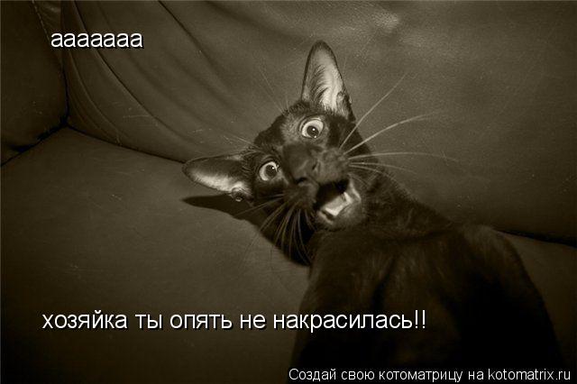 Котоматрица: ааааааа хозяйка ты опять не накрасилась!!