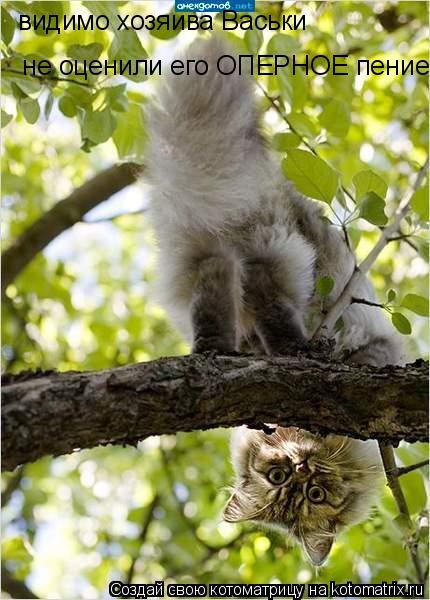Котоматрица: видимо хозяива Васьки  не оценили его ОПЕРНОЕ пение