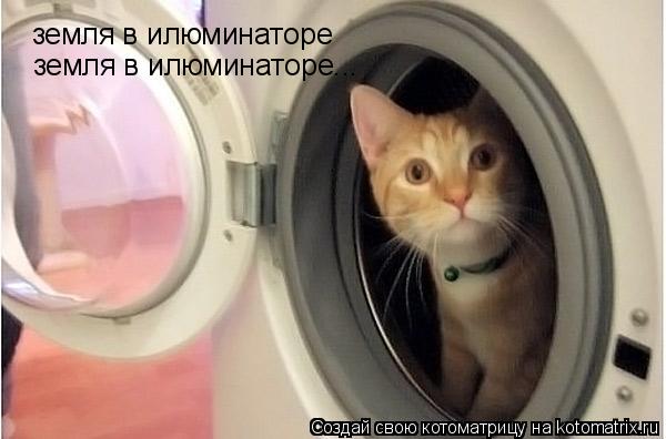 Котоматрица: земля в илюминаторе земля в илюминаторе...
