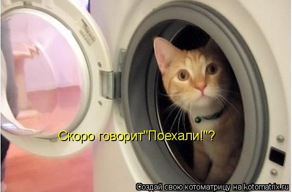 Котоматрица: Скоро говорит"Поехали!"?