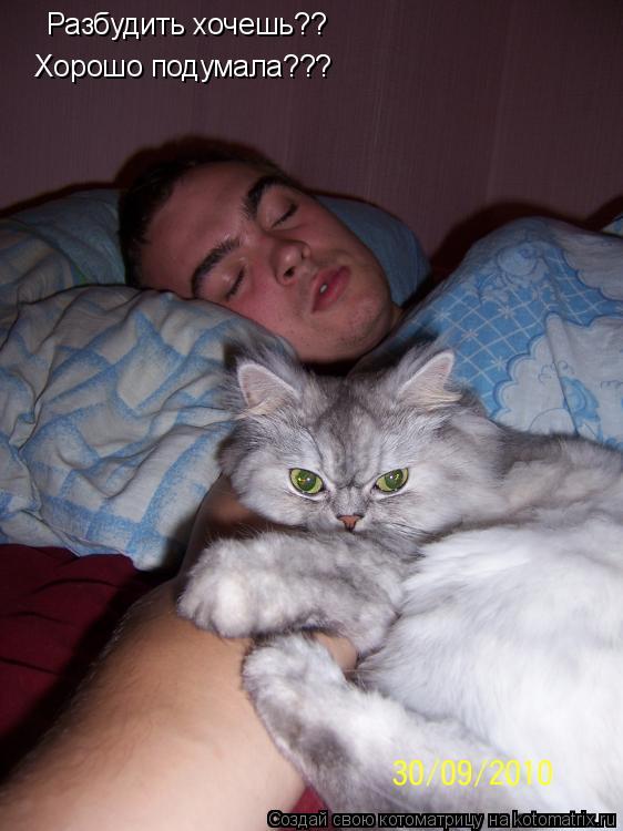 Котоматрица: Разбудить хочешь?? Хорошо подумала???