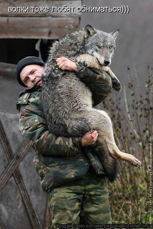Котоматрица: волки тоже любят обниматься)))