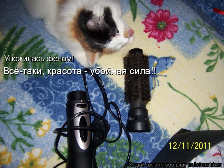 Котоматрица: Уложилась феном! Всё-таки, красота - убойная сила!!