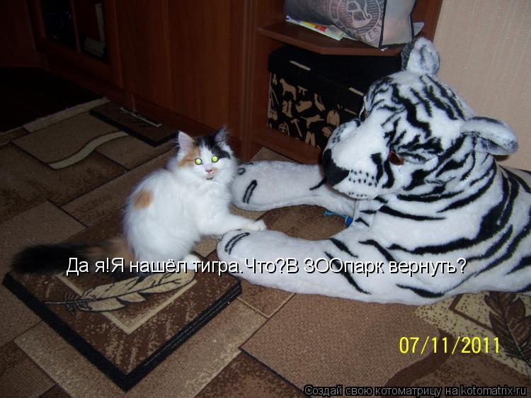 Котоматрица: Да я!Я нашёл тигра.Что?В ЗООпарк вернуть?