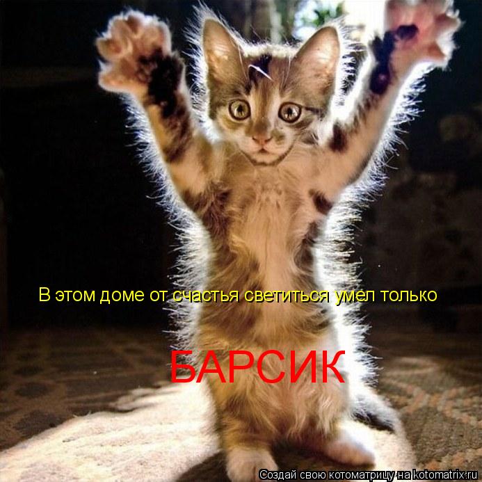 Котоматрица: В этом доме от счастья светиться умел только БАРСИК