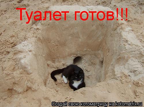 Котоматрица: Туалет готов!!!