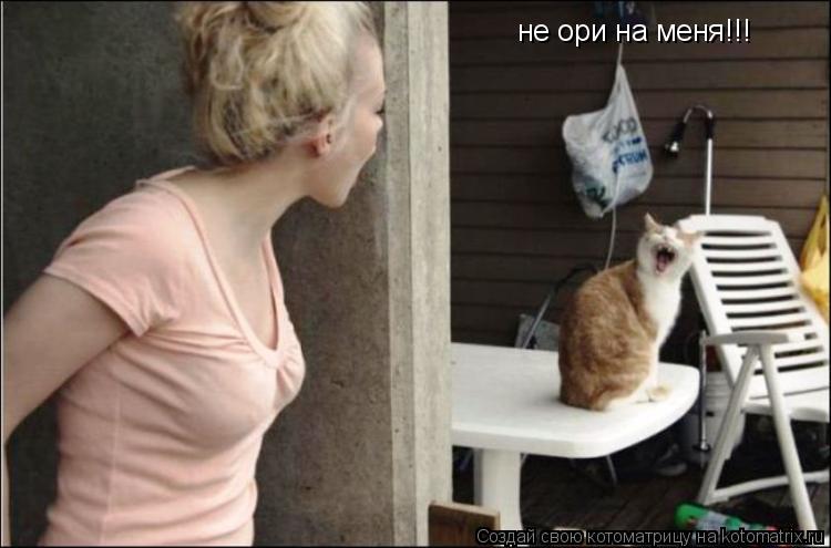 не ори на меня!!!... Котоматрица: не ори на меня!!!