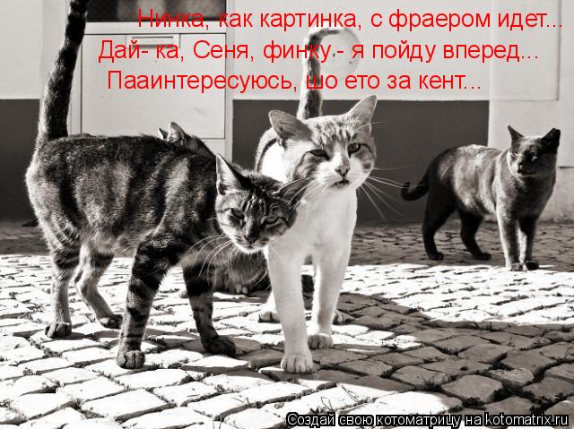 Нинка, как картинка, с фраером идет... Дай- ка, Сеня, финку - я пойду вперед... Пааинтересуюсь, шо ет... Котоматрица: Нинка, как картинка, с фраером идет... Дай- ка, Сеня, финку - я пойду вперед... Пааинтересуюсь, шо ето за кент...
