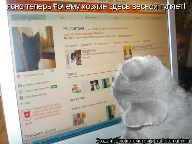Котоматрица: ясно теперь почему хозяин здесь весной гуляет!