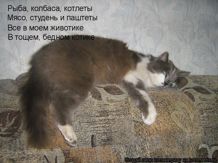Котоматрица: Рыба, колбаса, котлеты Мясо, студень и паштеты Все в моем животике В тощем, бедном котике