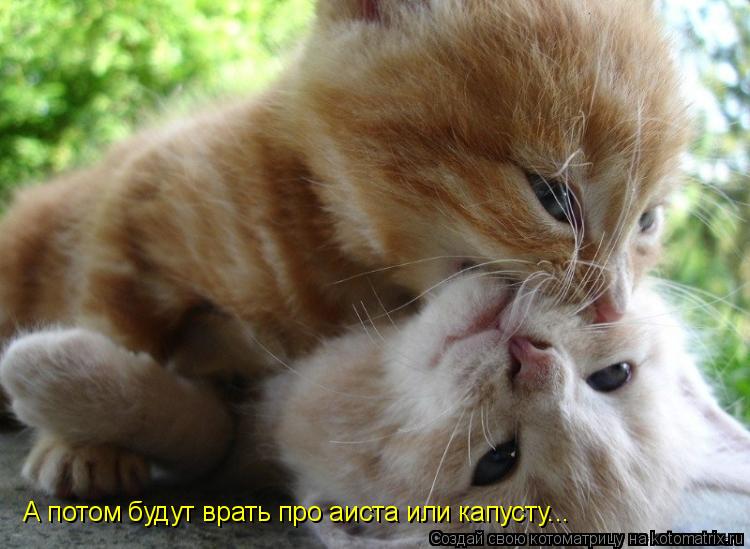 Котоматрица: А потом будут врать про аиста или капусту...