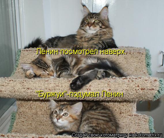 Котоматрица: Ленин посмотрел наверх. "Буржуи"-подумал Ленин
