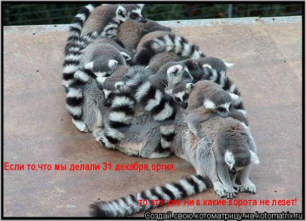 Котоматрица: Если то,что мы делали 31 декабря,оргия, ,то это уже ни в какие ворота не лезет!