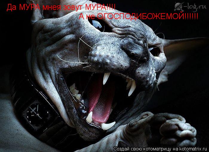 Котоматрица: Да МУРА мнея зовут МУРА!!!! А не ОГОСПОДИБОЖЕМОЙ!!!!!!