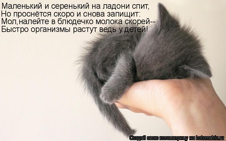 Котоматрица: Маленький и серенький на ладони спит, Но проснётся скоро и снова запищит: Мол,налейте в блюдечко молока скорей-- Быстро организмы растут вед