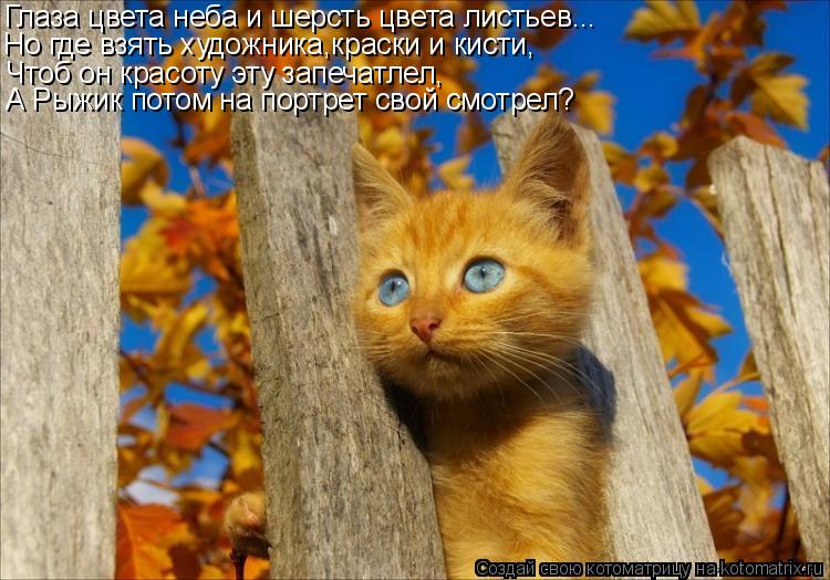 Котоматрица: Глаза цвета неба и шерсть цвета листьев... Но где взять художника,краски и кисти, Чтоб он красоту эту запечатлел, А Рыжик потом на портрет сво