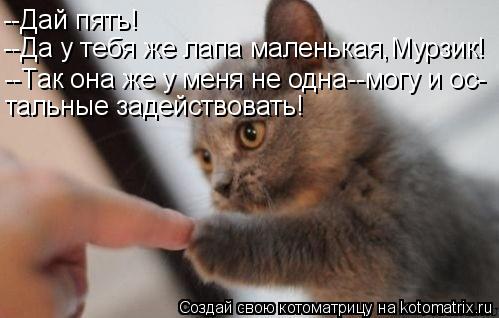 Котоматрица: --Дай пять! --Да у тебя же лапа маленькая,Мурзик! --Так она же у меня не одна--могу и ос- тальные задействовать!